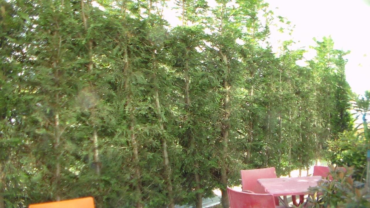 Shkoder Hotel Temali Exterior photo